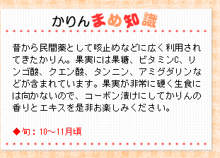�����Ʀ�μ�