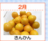 2����󤫤�