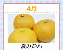 4��Ƥߤ���