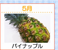 5��ѥ��ʥåץ�