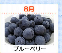 8��֥롼�٥꡼