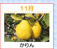 11������